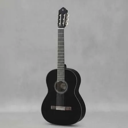 Gitara C40 1 Gitara C40 1