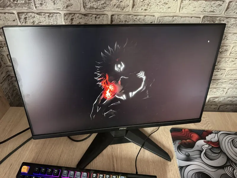 Игровой монитор MSI MAG 255F 240Hz / Rapid IPS / 24.5" 1 Игровой монитор MSI MAG 255F 240Hz / Rapid IPS / 24.5" 1