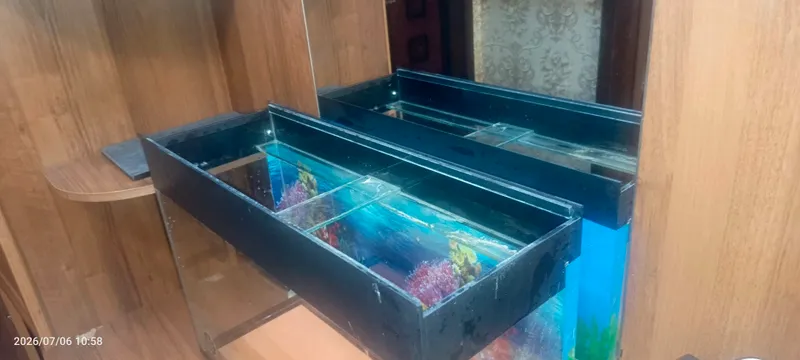 Akvarium 2
