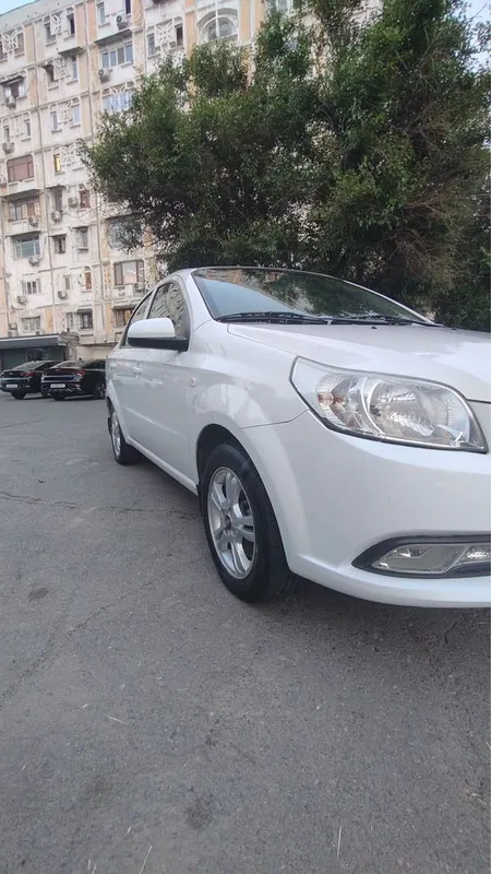 Nexia 3 Toza Metani bor
