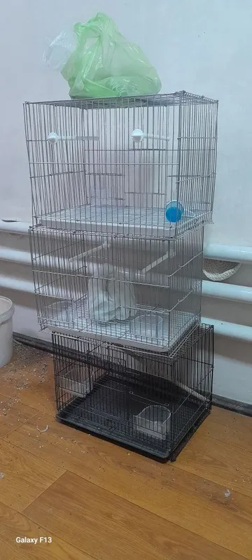 Qapas sotilad yengi Qapas sotilad yengi