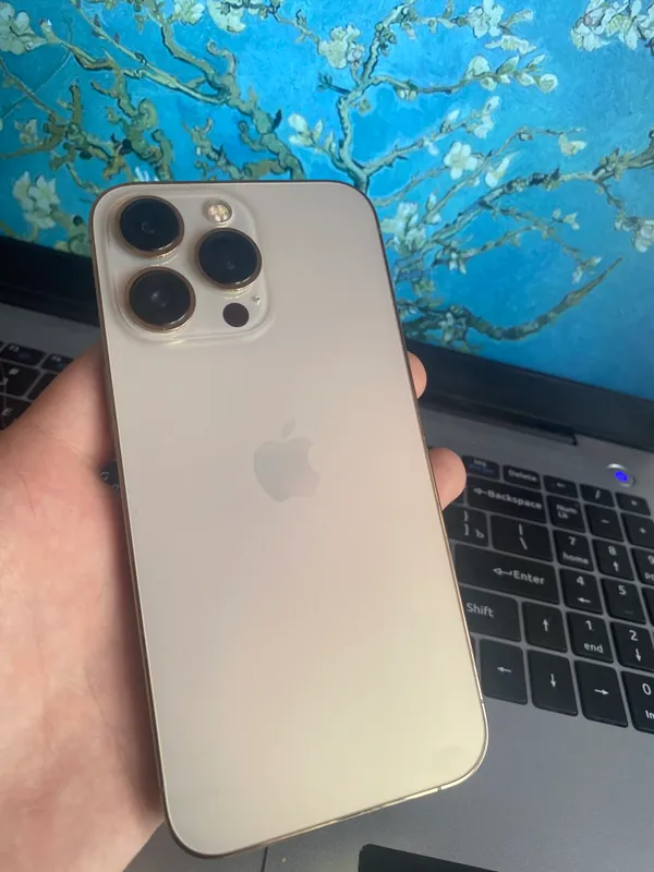 iPhone 13 pro