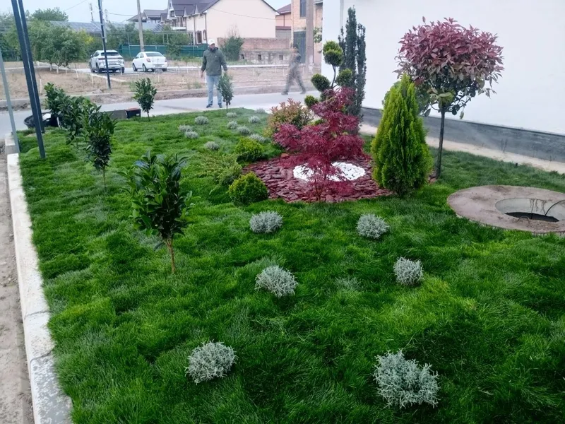 Gazon ekish Bo'bon gazon landshaft gul ekish dorilash xizmati — фото 2