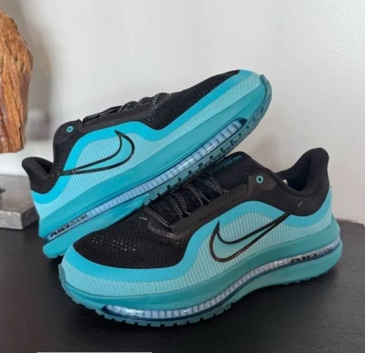 Nike pegasus premium