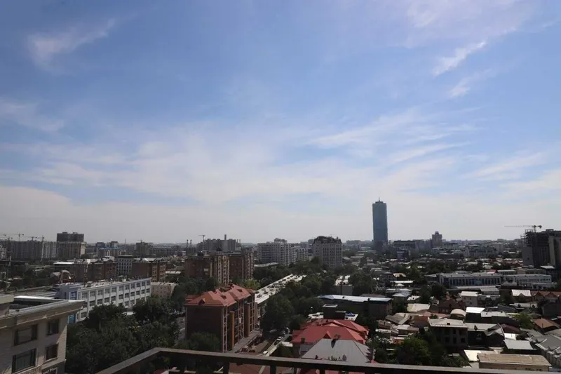 Мирабад ЖК «SKYLINE» (КОРОБКА) 3 комнатная квартира 2