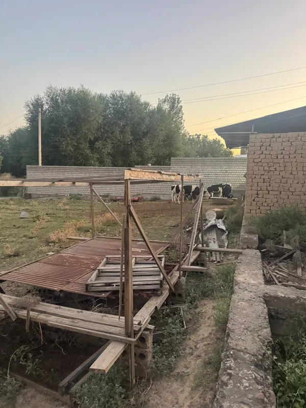 Toshkent tumani Tolabekda yer sotiladi 5 Toshkent tumani Tolabekda yer sotiladi 5