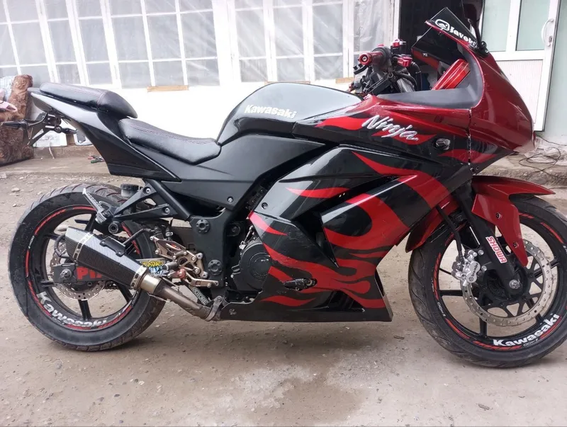 Kawasaki ninja orginal — фото 2