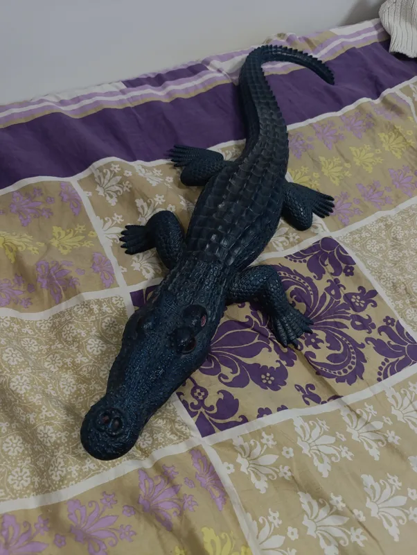 крокодил