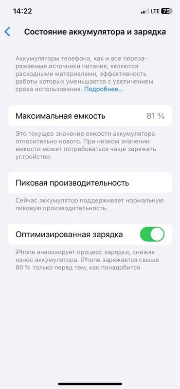iPhone Xs Radnoy 256/81 LLA — фото 4