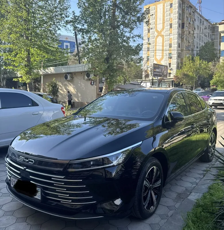 Byd Chazor full 2023/25 ARENDA