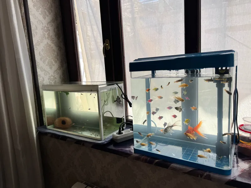sotiladi 2ta akvarium 1