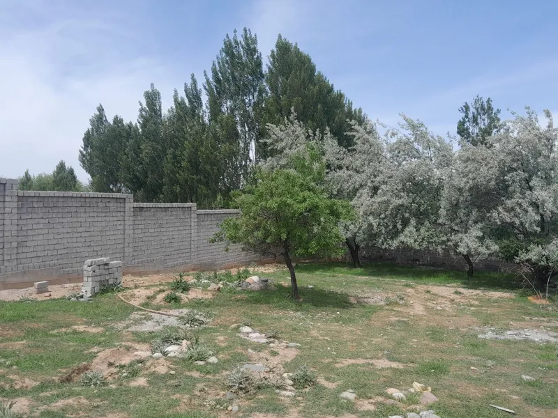 Mayiskida 6 sotiq sotiğini narxi 2.700$ dan — фото 1