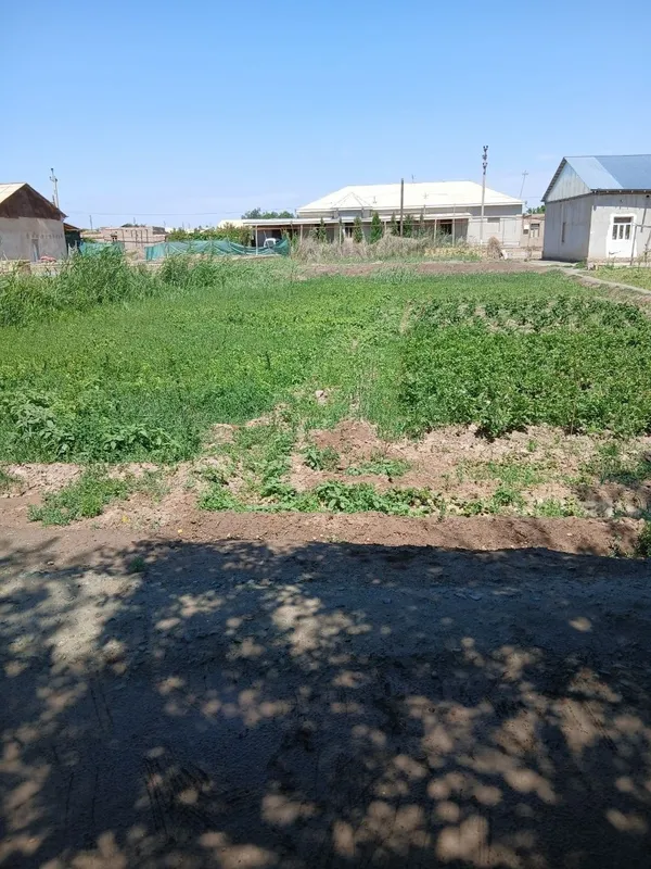 Беговотда Жой урни сотилади