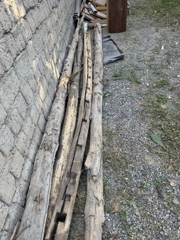 Utin tayor kimga kerak bulsa olib ketsn — фото 1