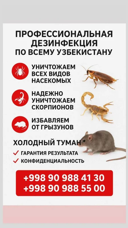 Срочная дезинфекция в Ташкенте 24/7! Уничтожение клопов, блох и мух — фото 1