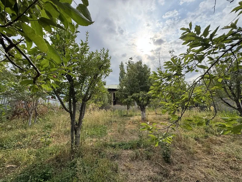 Dacha sotiladi 10 sutix 8 Dacha sotiladi 10 sutix 8