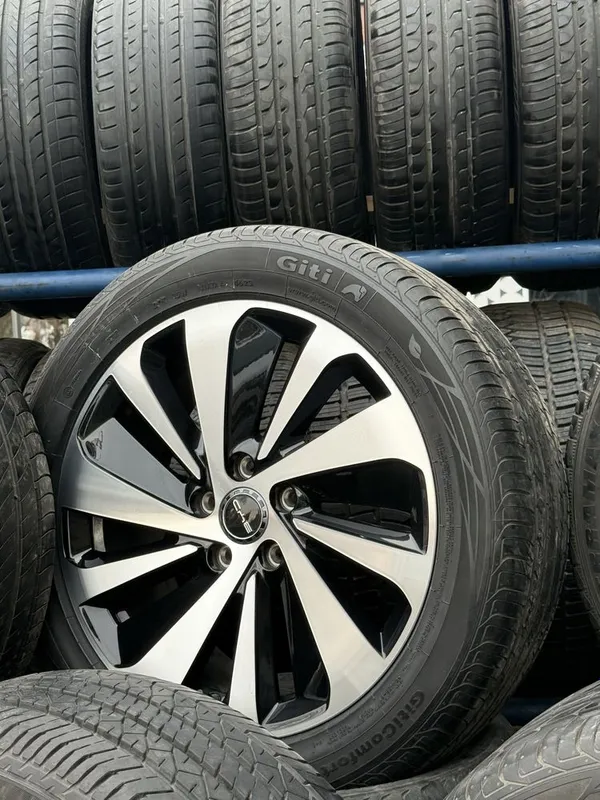 BYD chempion radnoy diska yengi BYD chempion radnoy diska yengi