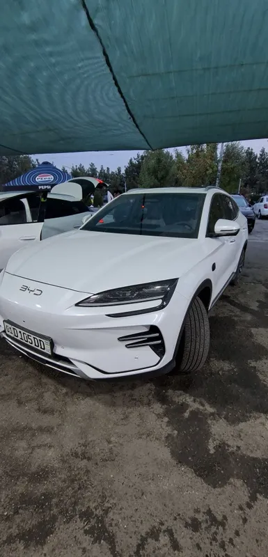 BYD Chempion smart 1 BYD Chempion smart 1