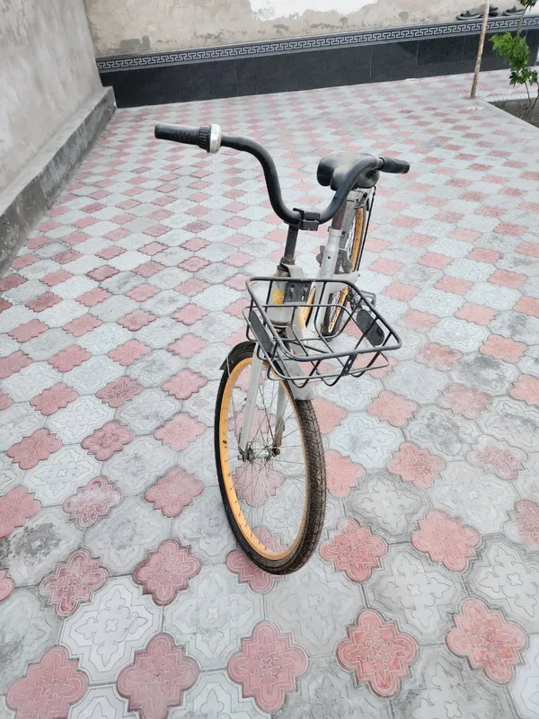 veloseped — фото 3