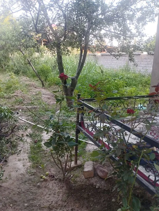 Erkin postdan 8 km hovli sotilad 3