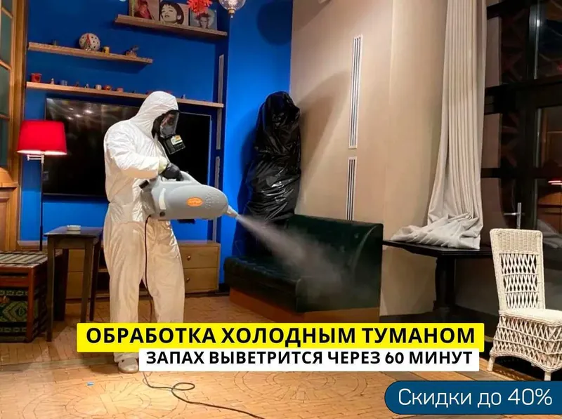 Дезинсекция от насекомых дезинфекция dezinfeksiya dizinfeksiy klopa D2