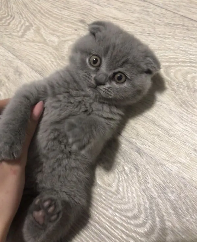 Onamning dostlari bilan porno Yetuk Osiyo pornosini onlayn tomosha qiling