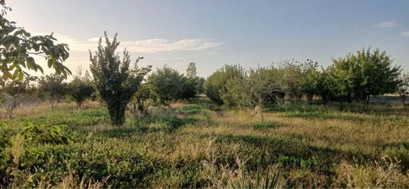 1,5 гектар ери билан омборхона сотилади самарқанд вил Оқдарё туманида — фото 4