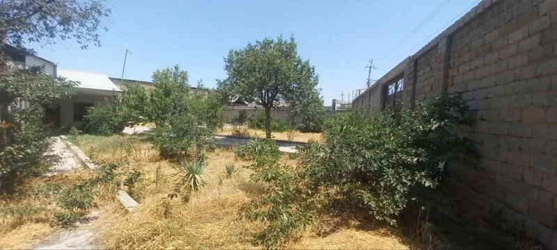 Toshkent shahar, Sergeli tumani, Qumariq mahallasi — фото 3