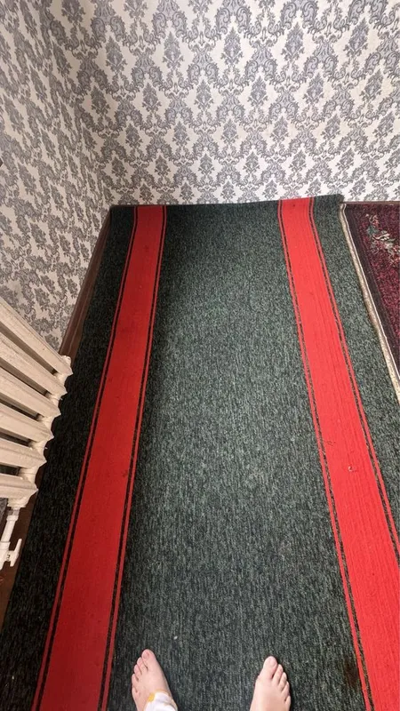 Советский полас 1,5х4 м 3шт