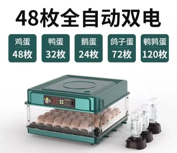Avtomatik Inkubator 48 tali 1 Avtomatik Inkubator 48 tali 1