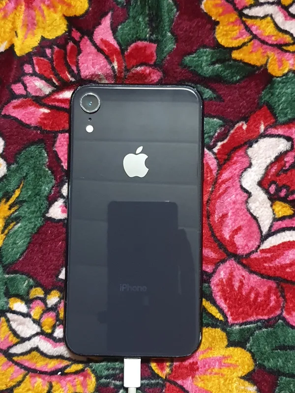 iPhone Xr 1 iPhone Xr 1