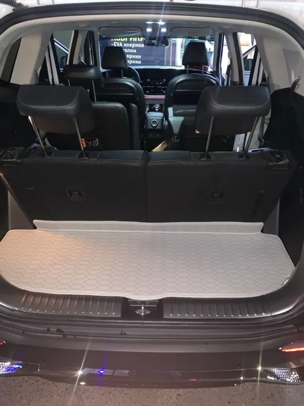 9D polik / коврики для Kia Carens — фото 5