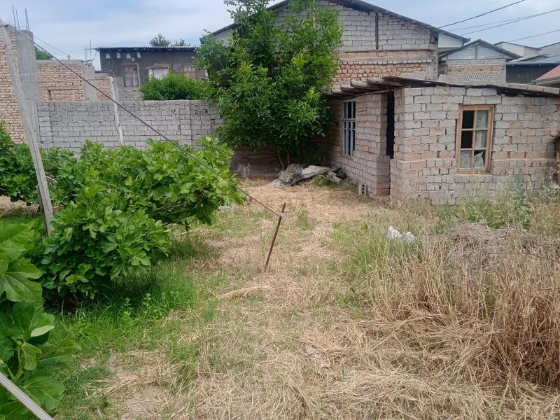 6 sotik bog sotiladi. 20tub anjiri bor suv gaz svetdan Momo yoqkochasi 2