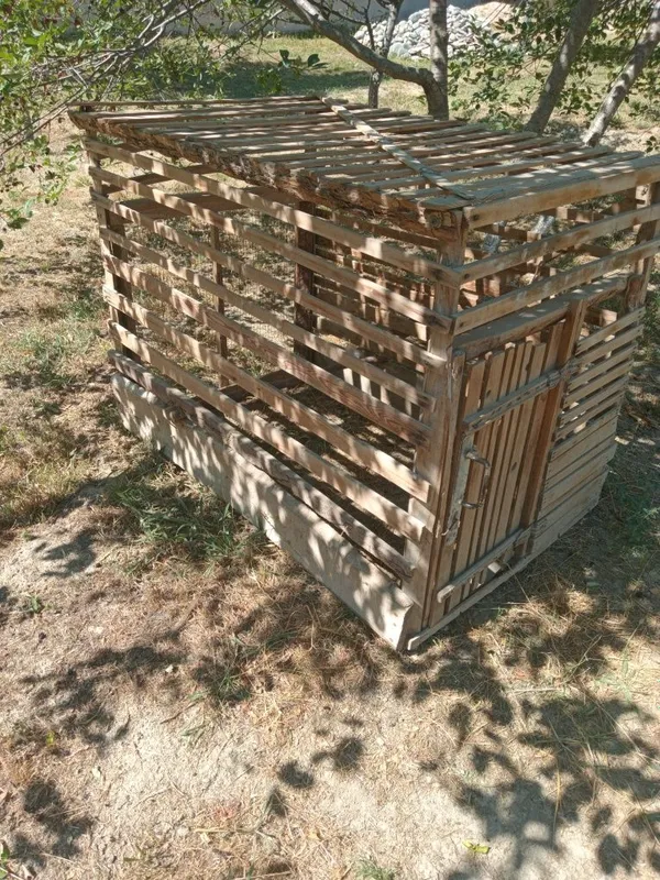 Tovuq Katak Sotiladi 2 Tovuq Katak Sotiladi 2
