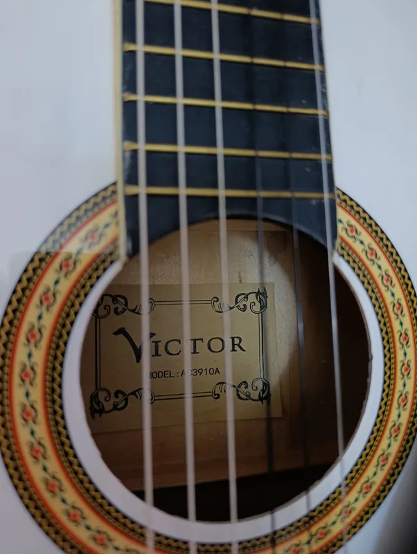 классическая гитара Viktor — фото 1
