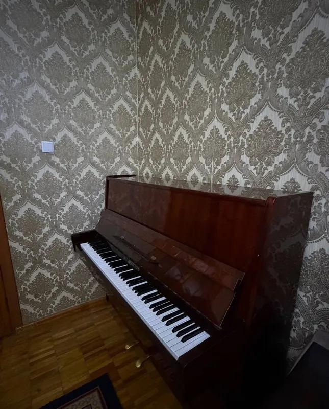 «Belarus» pianinosi sotiladi 3