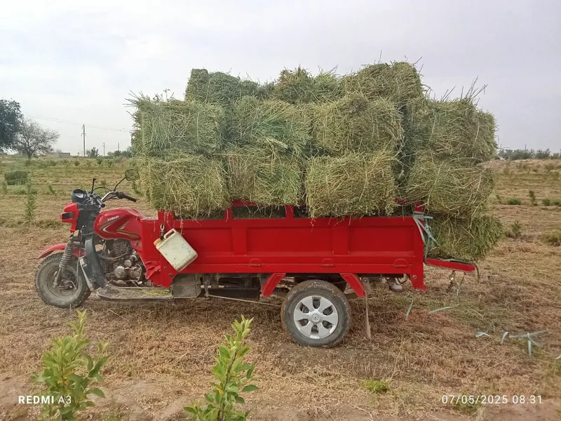 Hamkor motsakil sotiladi narxi 10 mln boʻladigan shu — фото 2