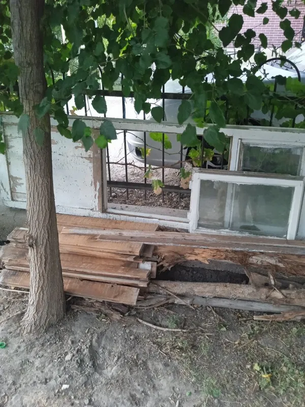 Утинлар сотилади келишилган нархда срочно черный паталог хам зур булад 4 Утинлар сотилади келишилган нархда срочно черный паталог хам зур булад 4