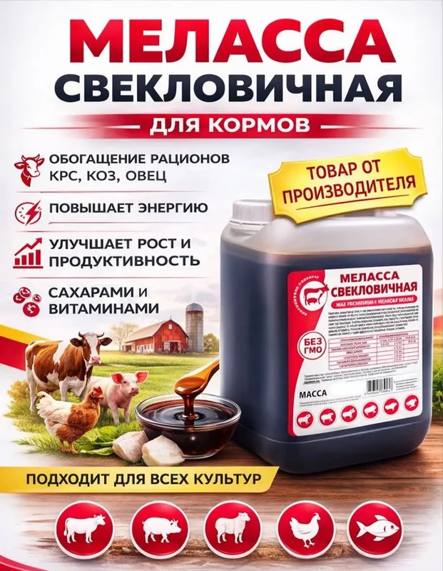Melassa sifatiga jovob optom 4 Melassa sifatiga jovob optom 4