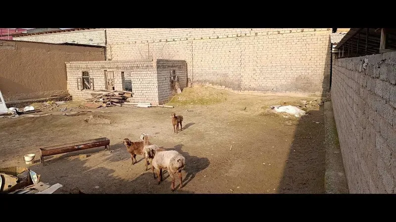 Zo'r joyda, zo'r narxda 6 sotix yer maydoni sotiladi!