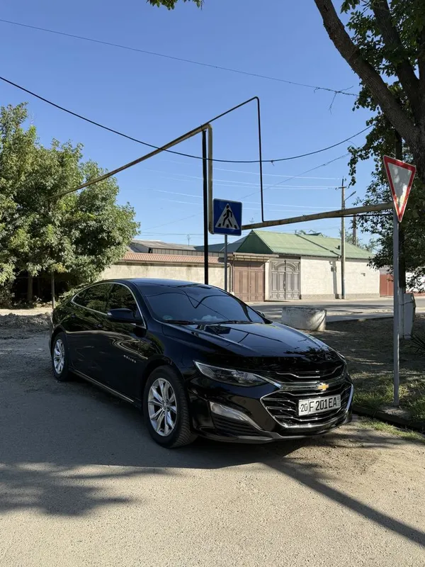 Malibu atmasferniy 2017 3 Malibu atmasferniy 2017 3