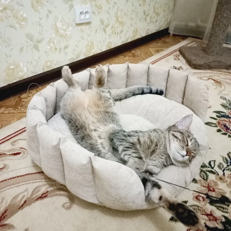 Catbeds and dogbeds — фото 2