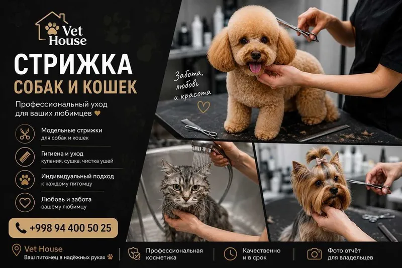 Veterinariya xizmati 24 7 3 Veterinariya xizmati 24 7 3