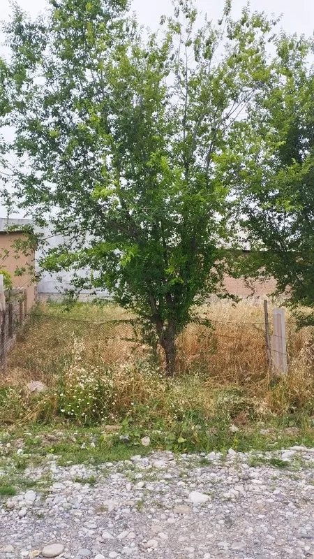 Uchastka sotiladi 3