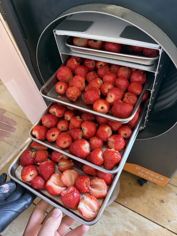 Meva Sublimatsiyalash aparati , freeze dryer — фото 4