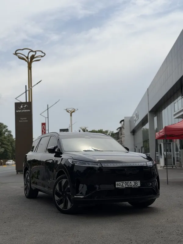 Dongfeng 008 MAX
