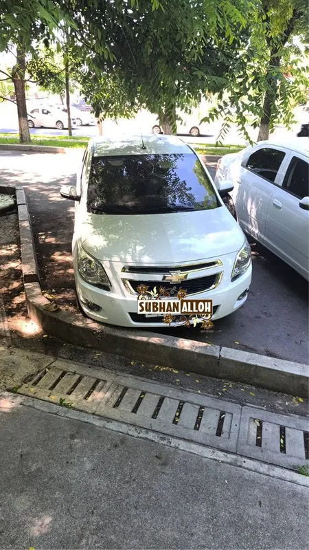 Kobolt sotiladi 2022 toza