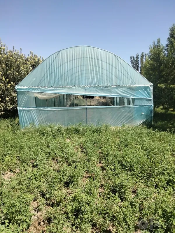 Продам теплицу срочно 7милион 3 Продам теплицу срочно 7милион 3