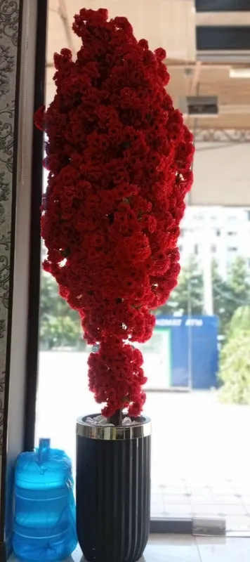 Divan,jurnalniy va sakura yengide 5