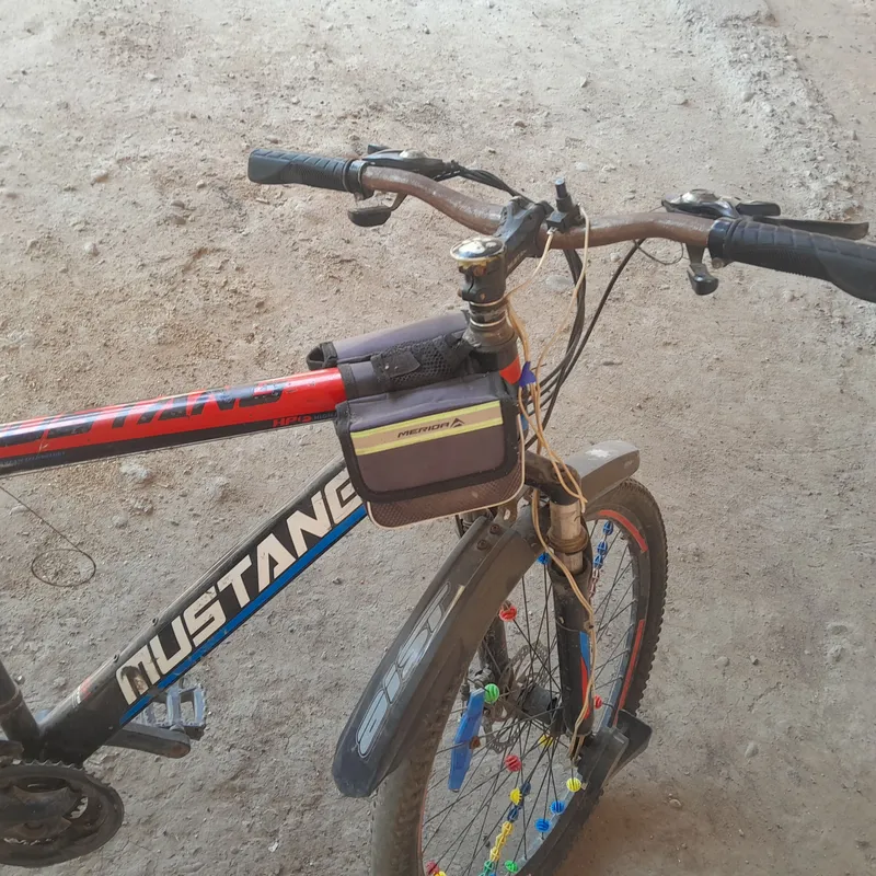 velosapet 2